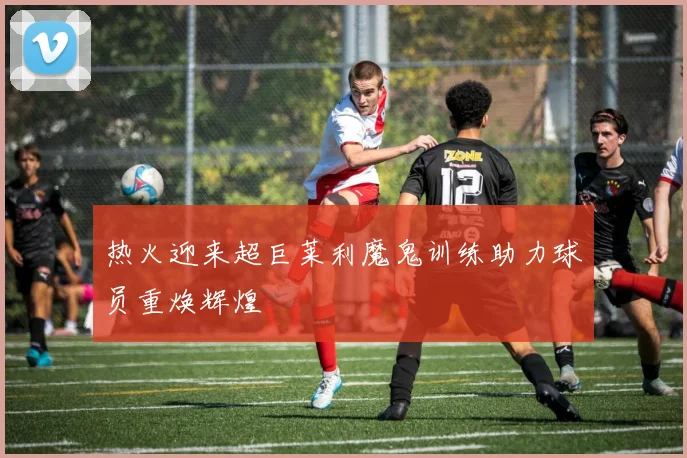 热火迎来超巨莱利魔鬼训练助力球员重焕辉煌